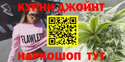 сатива Бийск