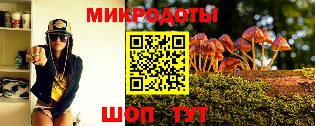 Галлюциногенные грибы мицелий Берёзовский